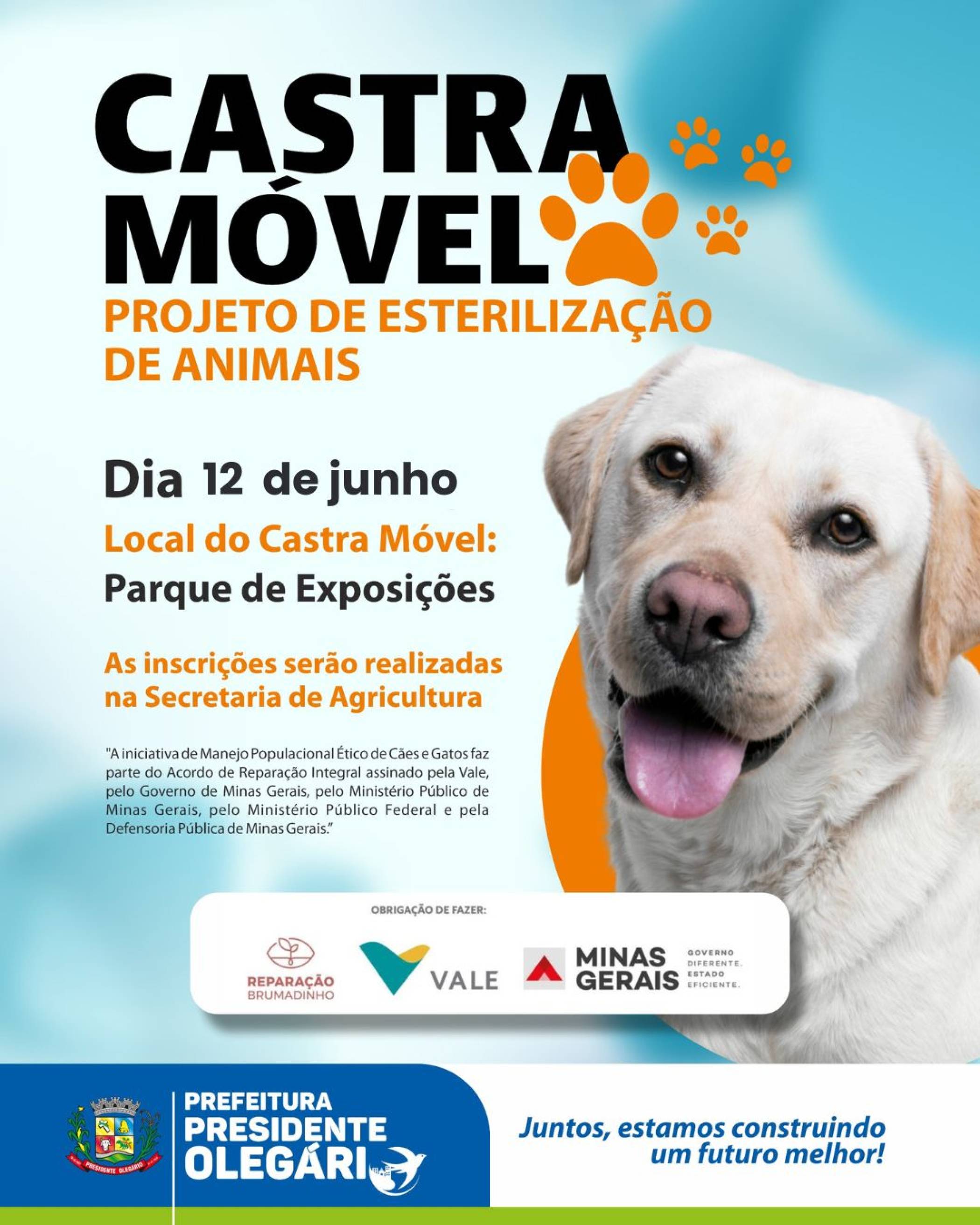 CASTRA MÓVEL REALIZA ESTERILIZAÇÃO GRATUITA DE CÃES E GATOS EM PRESIDENTE OLEGÁRIO